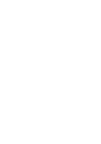 Dynamic Path Bridge Segment Diagram